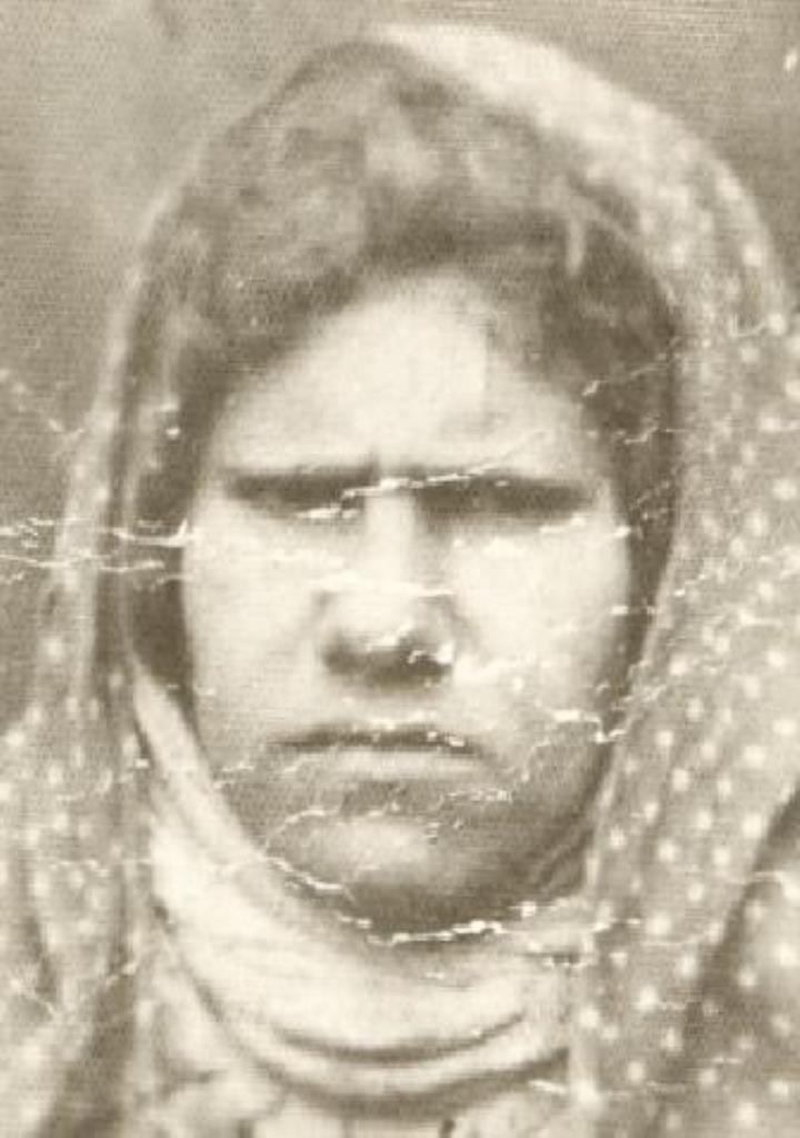 فاقد تصویر